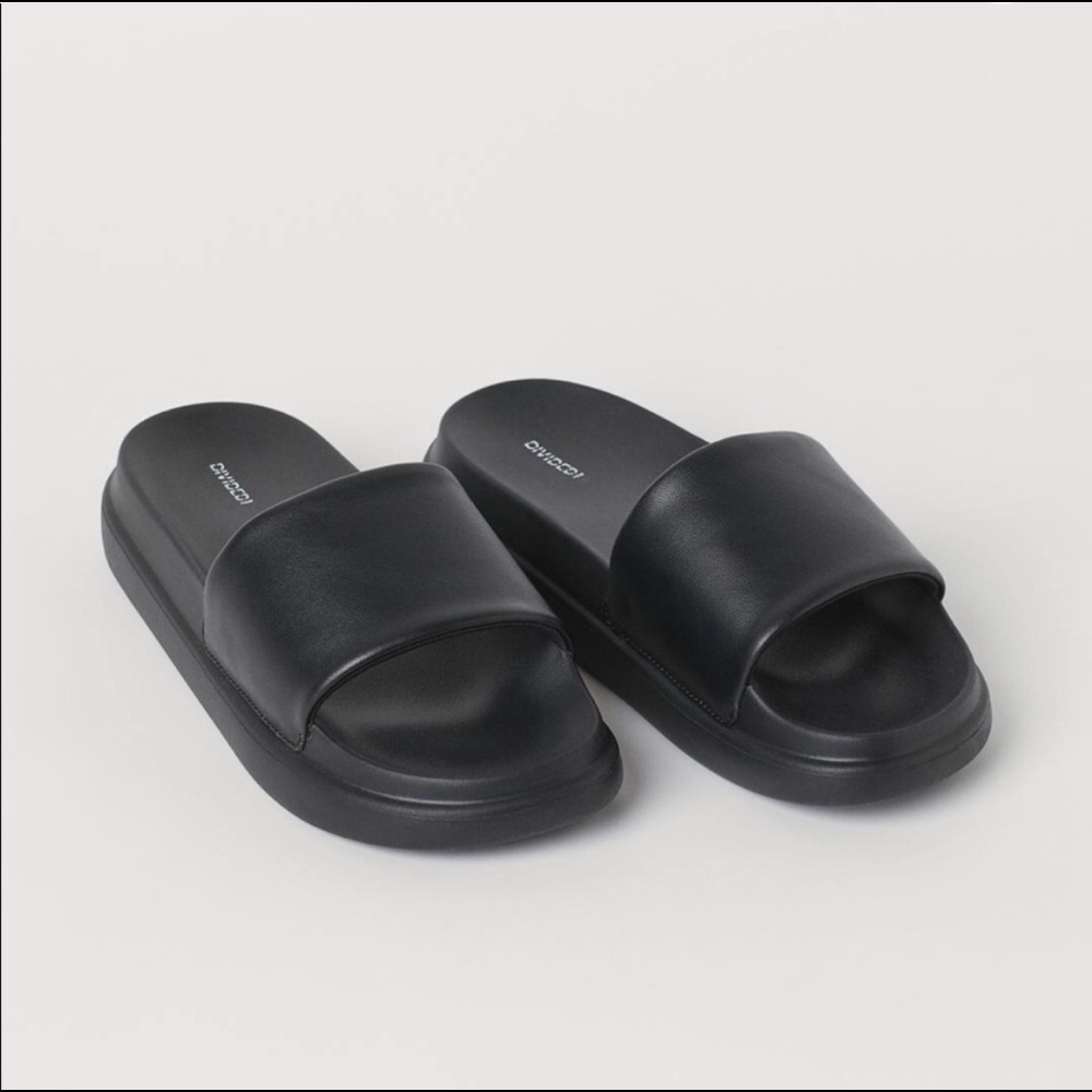 Platform Slides
